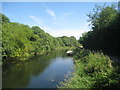 The Forth and Clyde Canal