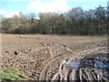 SE3078 : Muddy field entrance west of Howgrave Wood by Christine Johnstone
