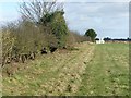 Field and hedgerow on the Robin Hood Way