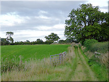 SJ6542 : Farmland near Swanbach in Cheshire by Roger  D Kidd