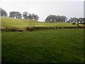 Aghnanereagh Townland