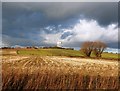 Farmland Viewed from Akeferry Road