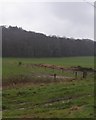 Fields below Rempstone Wood