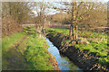 Path beside a drain, Wisley