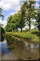 SO7811 : Trees and canal, Hardwicke Court by Philip Halling