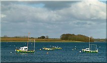 SK9205 : Boats on Rutland Water by Alan Murray-Rust