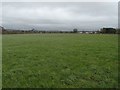 View over fields towards the M61