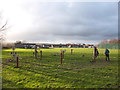 Outdoor gym, Tanhouse, Skelmersdale