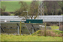 ST2735 : Sedgemoor : Solar Farm by Lewis Clarke