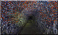 NZ2564 : Victoria Tunnel by Mick Garratt