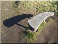 Bench above Ryhope Nook