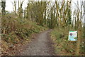 Woodland Path, Doonhill Wood