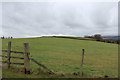 Farmland at Newton Stewart