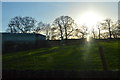 Sun shining through the trees near Levens Farm