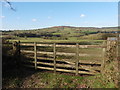 View towards Culmstock Beacon