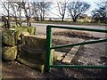 Well worn steps on this stile