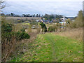 Footpath towards Alton