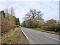 A32 towards Alton