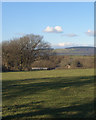 Public footpath off Heol-y-Sheet, nr North Cornelly