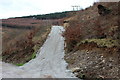 Forestry Road, Cwm Big, Aberbeeg