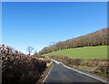 B4389 at track to Aberchain Wood