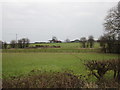 View towards Conisbrough Grange Farm