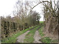 Field entrance near Hooton Common Farm