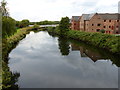 River Tame at Hemlingford Mill