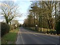 TQ7230 : Hawkhurst Road, near Flimwell by Chris Whippet