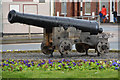 Bridgwater : The Cannon