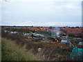 Allotments off Barrowcliff Road, Scarborough