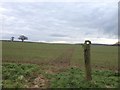 Bridleway near Deenethorpe