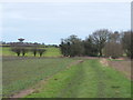 Footpath between Wiswall