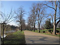 Avenue of trees alongside the River Severn