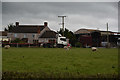 Bridgwater : White Gate Farm