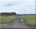 Footpath from Lathom Road to Lyelake Plantation