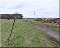 Footpath from Lathom Road to Lyelake Plantation