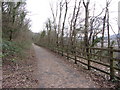 Cyclepath and former railway line near Church Village