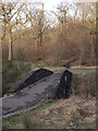 Footbridge in Cathkin Braes Park