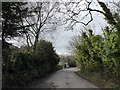 Looking westwards towards Worthing Lodge