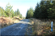 NX4771 : 7 Stanes Mountain bike trail by Billy McCrorie