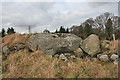 NO7294 : Tilquhillie Recumbent Stone Circle (3) by Anne Burgess