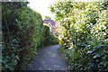 Footpath to Jasmine Close