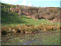TA0094 : Boggy grazing, Cober Hill by JThomas