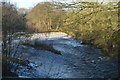 Weir, River Nidd