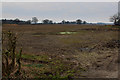 Countryside at Thorny Field