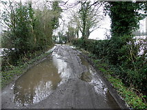 H4376 : Potholes along a muddy lane, Mountjoy Forest East by Kenneth  Allen