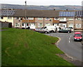 Grassy bank above Humber Road, Bettws, Newport