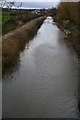 Bridgwater : Bridgwater and Taunton Canal