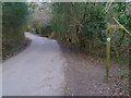 Looking eastwards on Hampers Lane past footpath junction